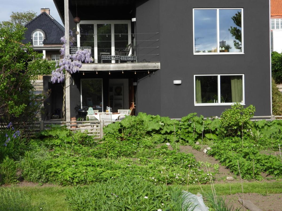 Höganäs Casa Negra 아파트 외부 사진